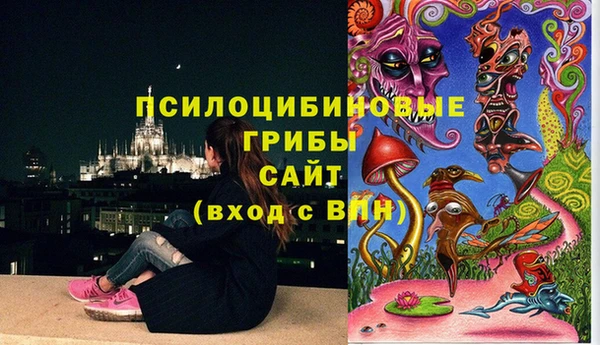 не бодяженный Аркадак