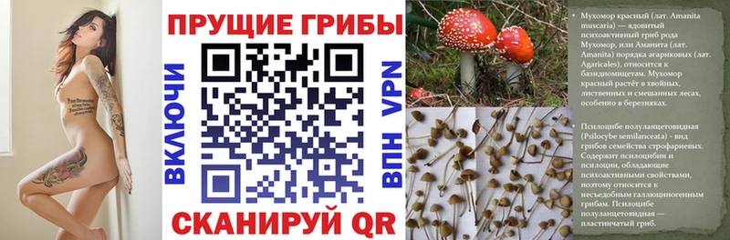 МЕГА ССЫЛКА Краснослободск Псилоцибиновые грибы GOLDEN TEACHER